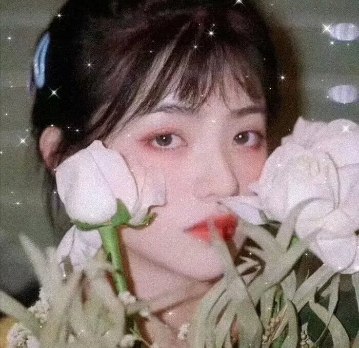 流血的房子海报