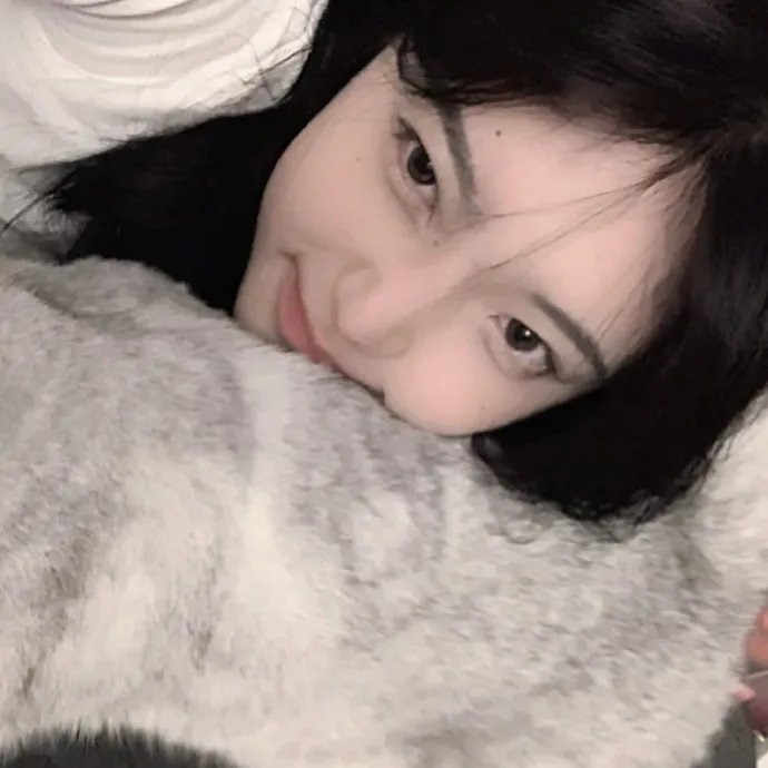 印花龙海报